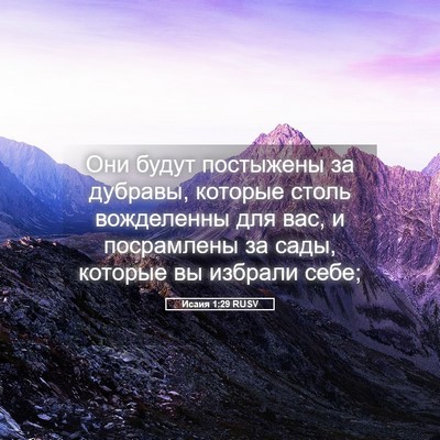 Picture 05 - Исаия 1:29 RUSV - Они будут постыжены за - Bible Verse Picture