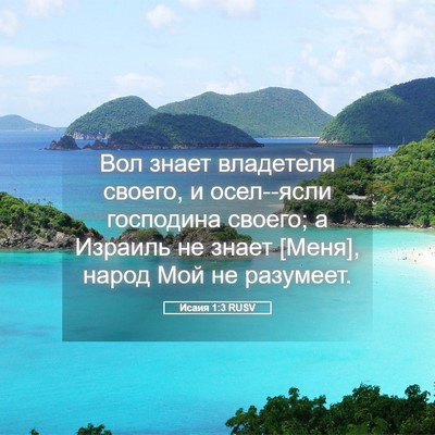 Picture 05 - Исаия 1:3 RUSV - Вол знает владетеля - Bible Verse Picture