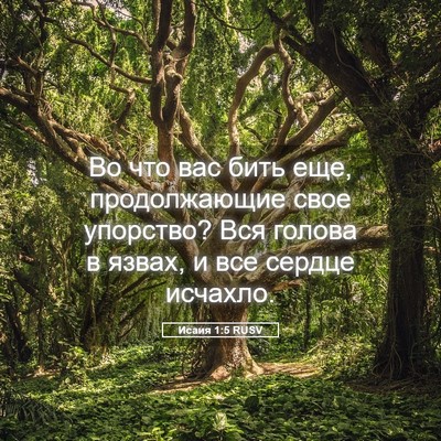 Picture 05 - Исаия 1:5 RUSV - Во что вас бить еще, - Bible Verse Picture