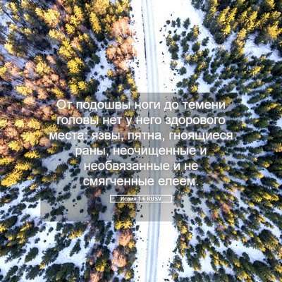 Picture 05 - Исаия 1:6 RUSV - От подошвы ноги до темени - Bible Verse Picture