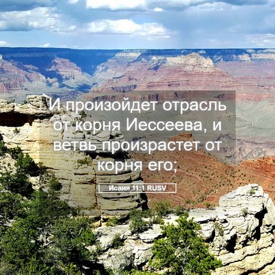 Picture 05 - Исаия 11:1 RUSV - И произойдет отрасль от - Bible Verse Picture