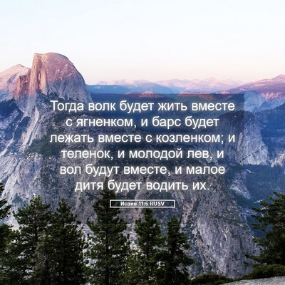 Picture 05 - Исаия 11:6 RUSV - Тогда волк будет жить - Bible Verse Picture