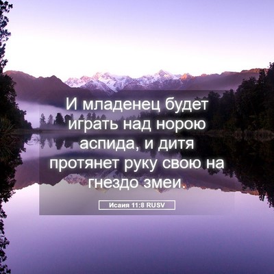 Picture 05 - Исаия 11:8 RUSV - И младенец будет играть - Bible Verse Picture
