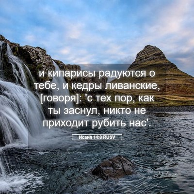 Picture 05 - Исаия 14:8 RUSV - и кипарисы радуются о тебе, - Bible Verse Picture