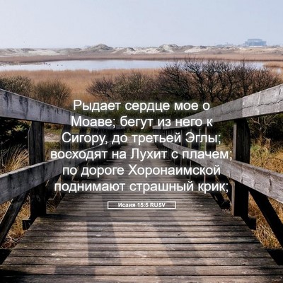 Picture 05 - Исаия 15:5 RUSV - Рыдает сердце мое о Моаве; - Bible Verse Picture