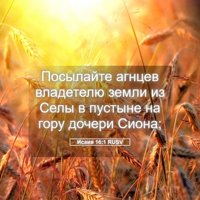 Picture 05 - Исаия 16:1 RUSV - Посылайте агнцев - Bible Verse Picture