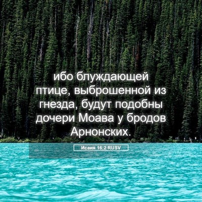 Picture 05 - Исаия 16:2 RUSV - ибо блуждающей птице, - Bible Verse Picture