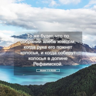Picture 05 - Исаия 17:5 RUSV - То же будет, что по - Bible Verse Picture