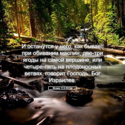 Picture 05 - Исаия 17:6 RUSV - И останутся у него, как - Bible Verse Picture