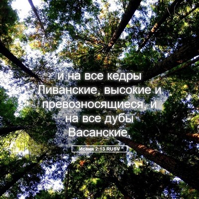 Picture 05 - Исаия 2:13 RUSV - и на все кедры Ливанские, - Bible Verse Picture