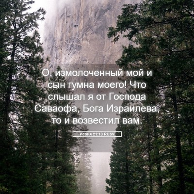 Picture 05 - Исаия 21:10 RUSV - О, измолоченный мой и сын - Bible Verse Picture