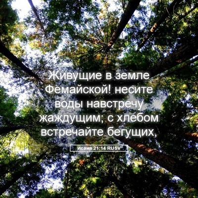 Picture 05 - Исаия 21:14 RUSV - Живущие в земле Фемайской! - Bible Verse Picture
