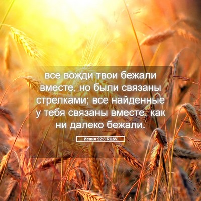 Picture 05 - Исаия 22:3 RUSV - все вожди твои бежали - Bible Verse Picture