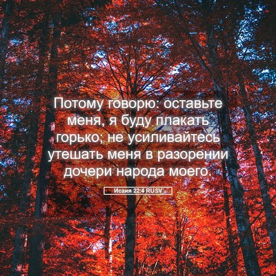 Picture 05 - Исаия 22:4 RUSV - Потому говорю: оставьте - Bible Verse Picture