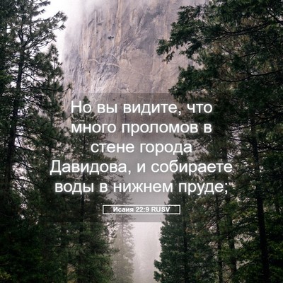 Picture 05 - Исаия 22:9 RUSV - Но вы видите, что много - Bible Verse Picture