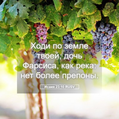 Picture 05 - Исаия 23:10 RUSV - Ходи по земле твоей, дочь - Bible Verse Picture