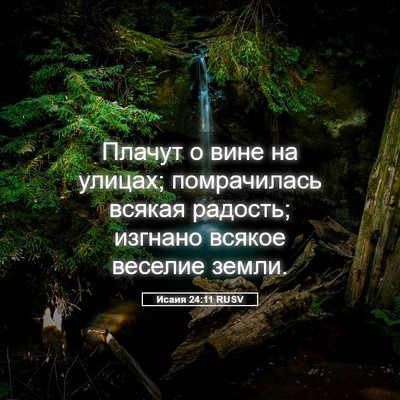 Picture 05 - Исаия 24:11 RUSV - Плачут о вине на улицах; - Bible Verse Picture