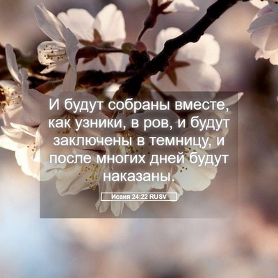 Picture 05 - Исаия 24:22 RUSV - И будут собраны вместе, как - Bible Verse Picture