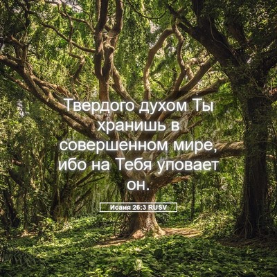 Picture 05 - Исаия 26:3 RUSV - Твердого духом Ты хранишь - Bible Verse Picture