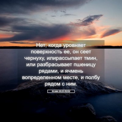 Picture 05 - Исаия 28:25 RUSV - Нет; когда уровняет - Bible Verse Picture