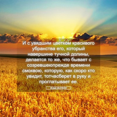 Picture 05 - Исаия 28:4 RUSV - И с увядшим цветком - Bible Verse Picture