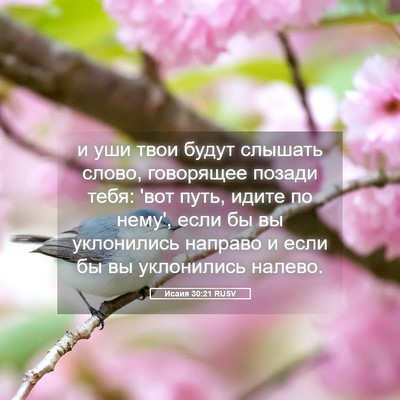 Picture 05 - Исаия 30:21 RUSV - и уши твои будут слышать - Bible Verse Picture