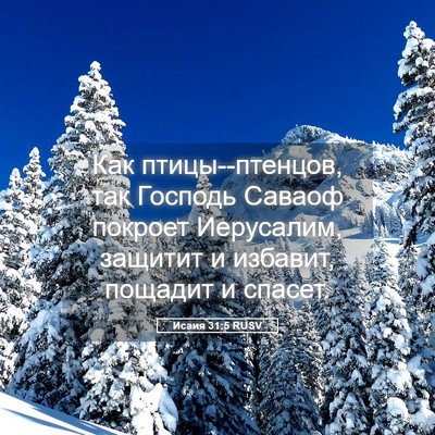 Picture 05 - Исаия 31:5 RUSV - Как птицы--птенцов, так - Bible Verse Picture
