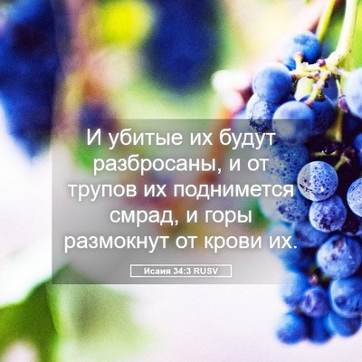 Picture 05 - Исаия 34:3 RUSV - И убитые их будут - Bible Verse Picture