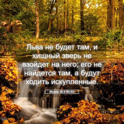 Picture 05 - Исаия 35:9 RUSV - Льва не будет там, и хищный - Bible Verse Picture