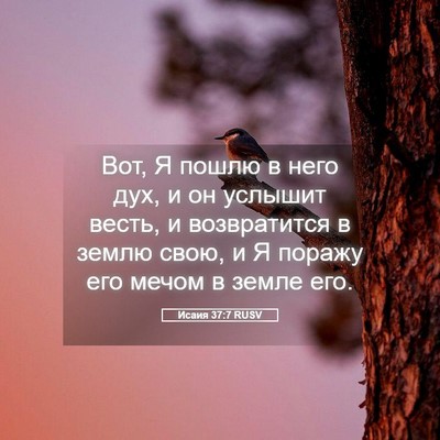 Picture 05 - Исаия 37:7 RUSV - Вот, Я пошлю в него дух, и он - Bible Verse Picture
