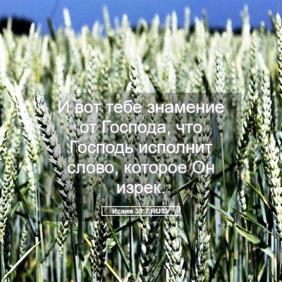 Picture 05 - Исаия 38:7 RUSV - И вот тебе знамение от - Bible Verse Picture