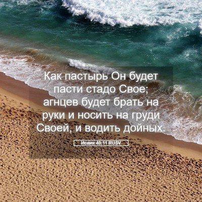 Picture 05 - Исаия 40:11 RUSV - Как пастырь Он будет пасти - Bible Verse Picture