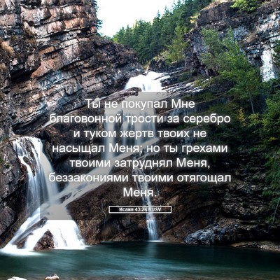 Picture 05 - Исаия 43:24 RUSV - Ты не покупал Мне - Bible Verse Picture