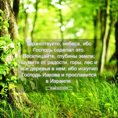 Picture 05 - Исаия 44:23 RUSV - Торжествуйте, небеса, ибо - Bible Verse Picture