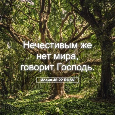 Picture 05 - Исаия 48:22 RUSV - Нечестивым же нет мира, - Bible Verse Picture