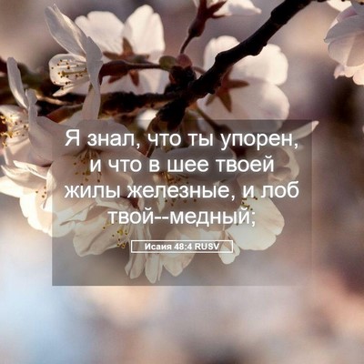 Picture 05 - Исаия 48:4 RUSV - Я знал, что ты упорен, и что - Bible Verse Picture