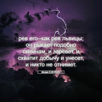 Picture 05 - Исаия 5:29 RUSV - рев его--как рев львицы; он - Bible Verse Picture