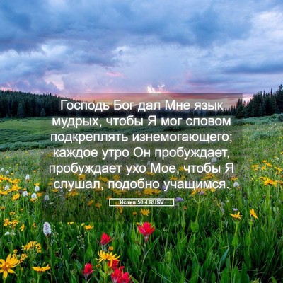 Picture 05 - Исаия 50:4 RUSV - Господь Бог дал Мне язык - Bible Verse Picture