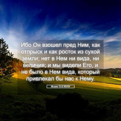 Picture 05 - Исаия 53:2 RUSV - Ибо Он взошел пред Ним, как - Bible Verse Picture