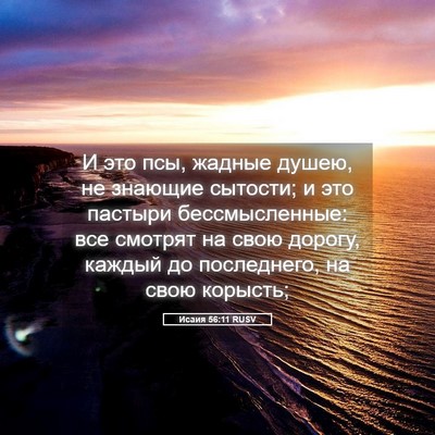 Picture 05 - Исаия 56:11 RUSV - И это псы, жадные душею, не - Bible Verse Picture