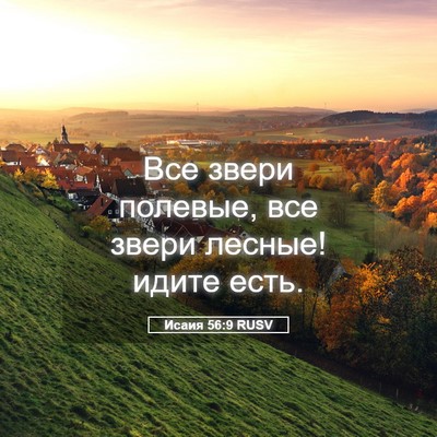 Picture 05 - Исаия 56:9 RUSV - Все звери полевые, все - Bible Verse Picture