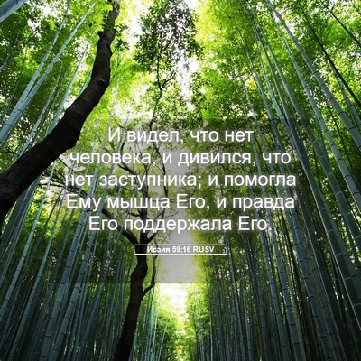 Picture 05 - Исаия 59:16 RUSV - И видел, что нет человека, и - Bible Verse Picture