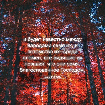 Picture 05 - Исаия 61:9 RUSV - и будет известно между - Bible Verse Picture