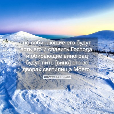 Picture 05 - Исаия 62:9 RUSV - но собирающие его будут - Bible Verse Picture