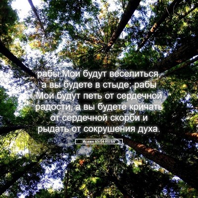 Picture 05 - Исаия 65:14 RUSV - рабы Мои будут веселиться, - Bible Verse Picture