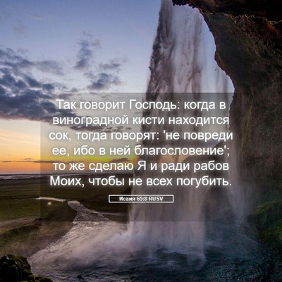 Picture 05 - Исаия 65:8 RUSV - Так говорит Господь: когда - Bible Verse Picture
