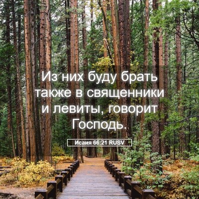 Picture 05 - Исаия 66:21 RUSV - Из них буду брать также в - Bible Verse Picture