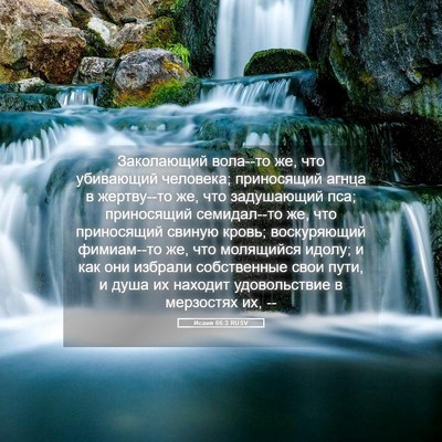 Picture 05 - Исаия 66:3 RUSV - Заколающий вола--то же, что - Bible Verse Picture