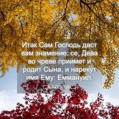 Picture 05 - Исаия 7:14 RUSV - Итак Сам Господь даст вам - Bible Verse Picture