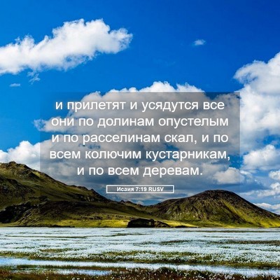 Picture 05 - Исаия 7:19 RUSV - и прилетят и усядутся все - Bible Verse Picture